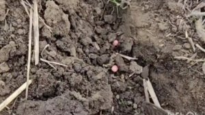 наир дон 761 мы стараемся для вас