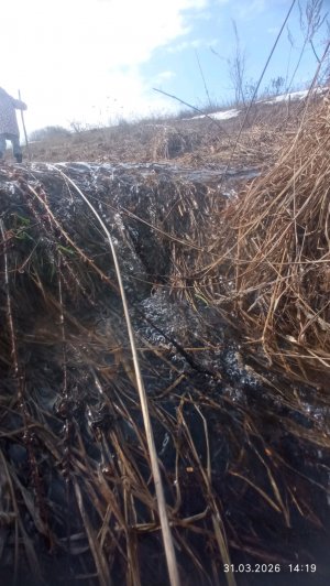 °^•фиговая новость =(.^ но можно всё исправить!!!°^•❤️😊💓