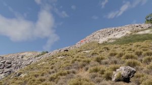 Машины против обрыва