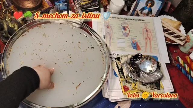 ⚖️ ЧИСТКА СЕРДЕЧНО-СОСУДИСТОЙ СИСТЕМЫ, МОЧЕПОЛОВОЙ СИСТЕМЫ (М/Ж)