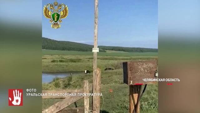 Ежедневный выпуск Агентство чрезвычайных новостей от 15 апреля 2026