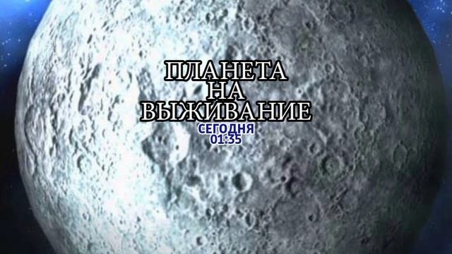 Планета на выживание - Сегодня. 01:35 (ТНТ. Ночное кино)