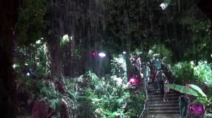 ОСТРОВ РУССКИЙ. Приморский океанариум_2017