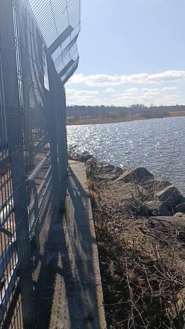 Финский 🇫🇮 залив