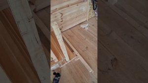 1000056117.mp4 (Собака наблюдает за устройством лестницы на 2-ой этаж в доме А-фрейм)