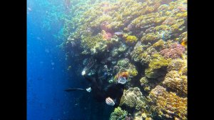 Египет 2026 (часть 2) Отель Rehana Sharm Resort 4 звезды