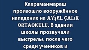 Четыре человека погибли в результате стрельбы в турецкой школе, ещё 20 ранены