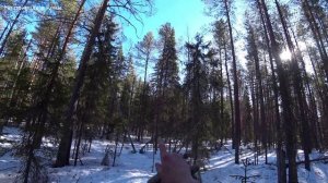 Катаюсь в лесу по насту на мототолкаче. Потерял прицеп. Что то сильно загремело. 2/2 серия