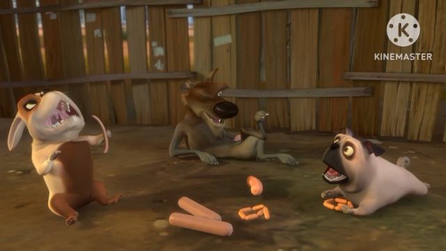 These that a Animal are Hungry!!