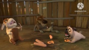 These that a Animal are Hungry!!