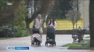 «Вести. Ставропольский край» 15.04.2026 (11.30)