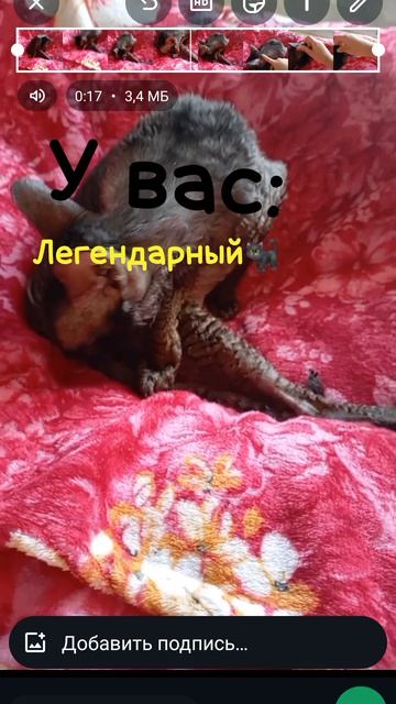 кто же вылупится 🧐