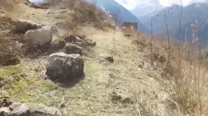 УТРО ИНГУШЕТИИ 160426