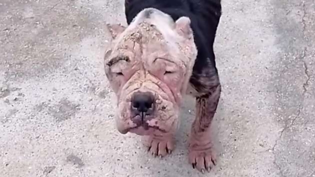 От него все отворачивались и обходили стороной