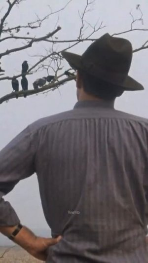 УКРОЩЕНИЕ СТРОПТИВОГО
1980 год
ДРАМА,КОМЕДИЯ