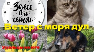 Обычный день.Станичники.