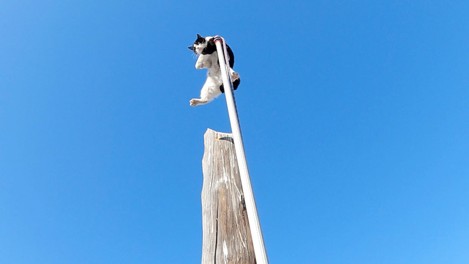 Палка подвела...