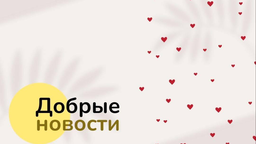Добрые новости от БФ Добро 24.РУ 15.04.2026г