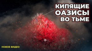 Кипящие оазисы во тьме : Жизнь, которой не нужно солнце..