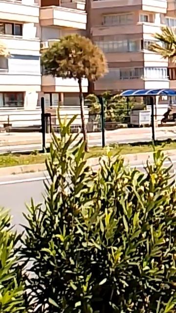 15 апреля 20 19. ТУРЦИЯ 2026.