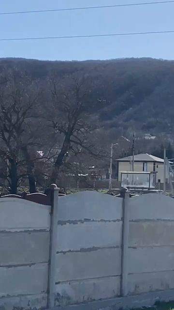 -5424672122222683911