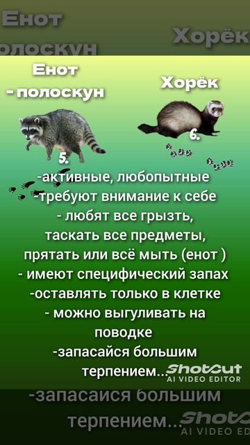 ШКОЛА ЮНЫХ ВЕТЕРИНАРОВ 
ТЕСТ