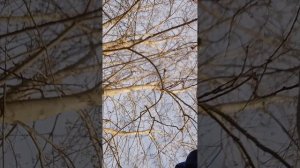 люди это видео может быть последним всем пока я ухожу с каналапотому что у меня сильно лагает 📱