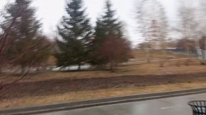 Рубрика Прогулка