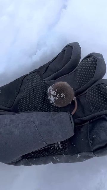 Почему он настолько круглый