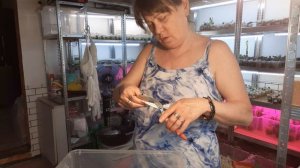 Моя Жизнь в Деревне,  Посадка Арбуз 🍉  Дыни