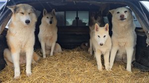 Ужин на завтрак