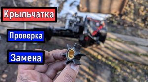 Тохатсу 9.8 /   Замена  проверка  КРЫЛЬЧАТКИ /  Tohatsu 9.8   / АНАЛОГИ