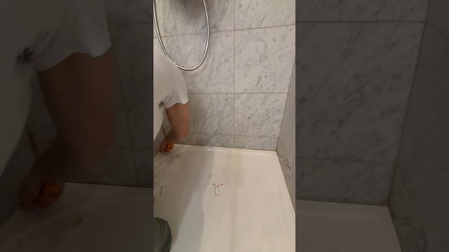 Герметизация душевой кабины , замена силикона .