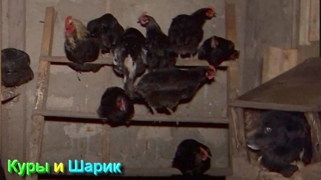 Разбор Терминов Волшебной Культуры от 14.04.26