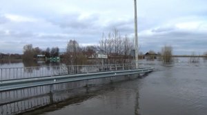 Весеннее половодье на реке Мстерка. Поселок Мстера, апрель 2026 года