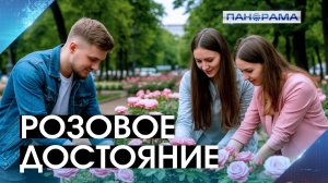 Подтверждая статус «города миллиона роз»: Глава ДНР вместе с активистами высадил цветы в Донецке