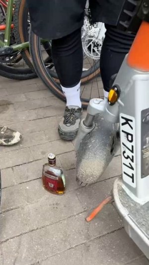 Небосклон. Social ride. 28 марта 2026. Сбор более 120 веселопедистов. ЛО - Королёв - ЛО 50 км РИЛС