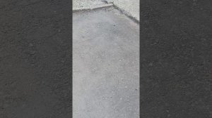 я иду домой с больницы