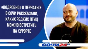 В Сочи рассказали, каких редких птиц можно встретить на курорте | ПОДРОБНО 08.04.2026