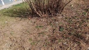 Сергиев Посад