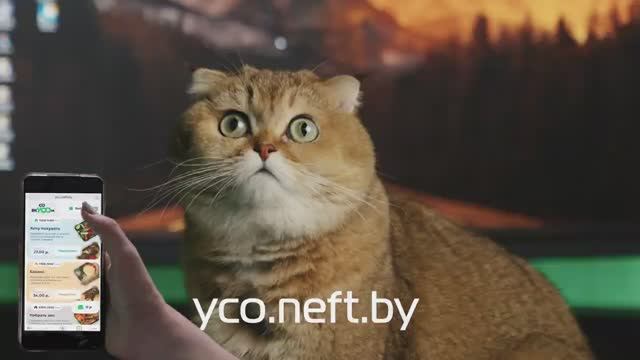 Здоровое питание "Со вкУСОм"... всего за пару кликов от yco.neft.by // "Белоруснефть"