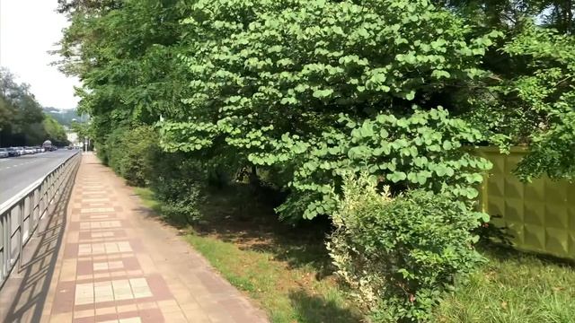 ИЮЛЬ 2022 Дагомыс | Идем в столовую по Батумскому шоссе |