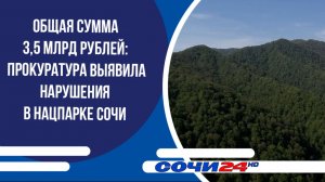 Общая сумма 3,5 млрд рублей: Прокуратура выявила нарушения в нацпарке Сочи