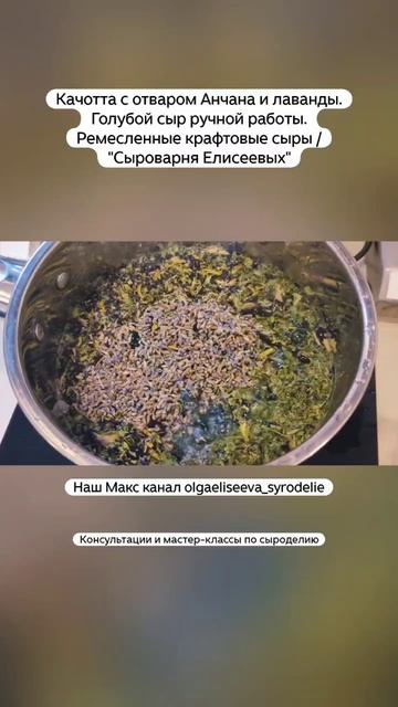 Качотта с отваром Анчана и лаванды. Голубой сыр ручной работы. Ремесленные крафтовые сыры