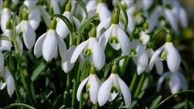 Финансовый прорыв за 24 часа. Спрячьте это у двери.