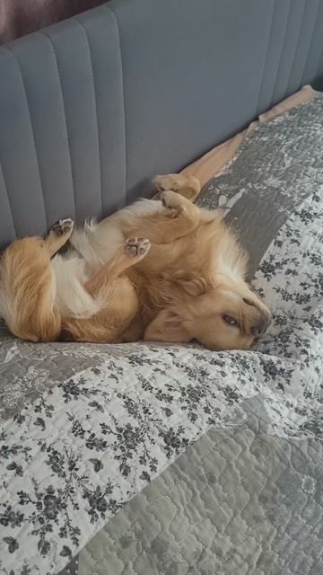 🐻🐻🐻 #ВинниПух #медведь #друг