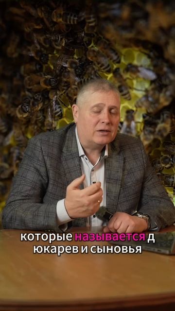 ПРОДУКТИВНОЕ ПЧЕЛОВОДСТВО #пчеловодство