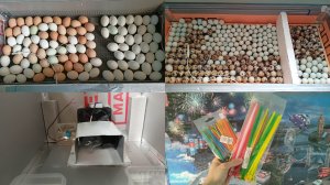 Заменила вентилятор в инкубаторе. Раскладка яйца. Меточные стяжки