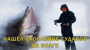 Судаки лупят мои вибы! Нашёл скопление рыбы. Зимняя рыбалка на Волге.