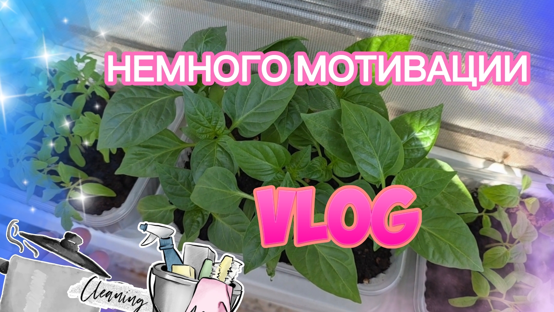 ВЛОГ: СЛАВА БЛОГЕР. МОЯ РАССАДА. ГОТОВЛЮ И УБИРАЮСЬ НА КУХНЕ.